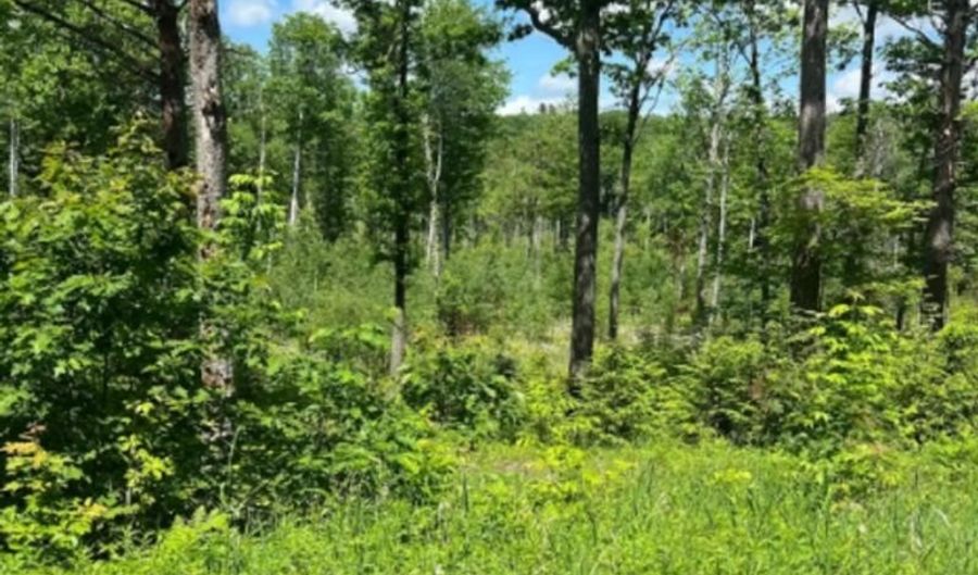 Corno Road and Canaan Street lot All 8 Lots, Canaan, NH 03741 - 0 Beds, 0 Bath