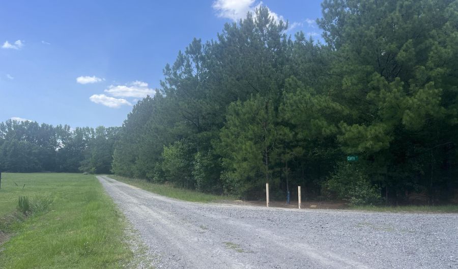Curly Lane, Bennettsville, SC 29512 - 0 Beds, 0 Bath