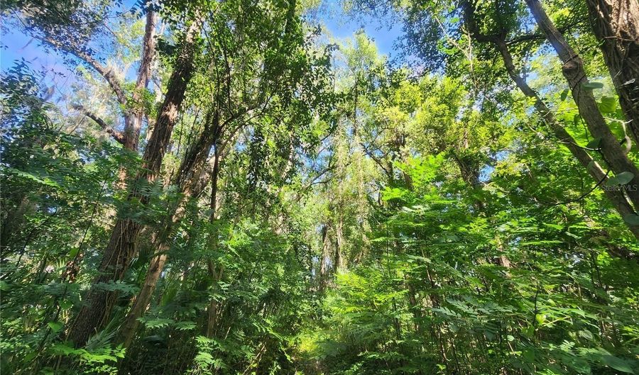 1985 NE 97TH STREED Rd, Anthony, FL 32617 - 4 Beds, 3 Bath