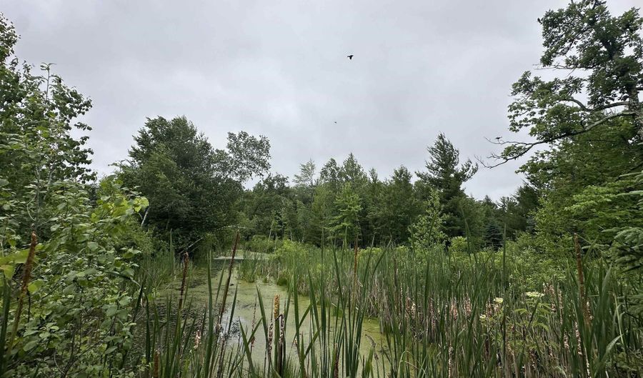 LOT 41 POINT TRAIL, Wisconsin Rapids, WI 54494 - 0 Beds, 0 Bath