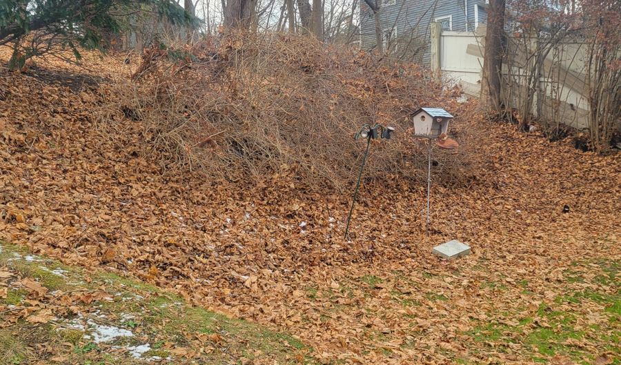 12 Division St A, Danbury, CT 06810 - 2 Beds, 1 Bath