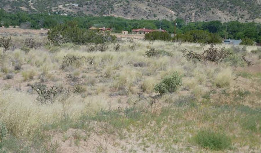Tract C C-1-A-1-A OF COTTONWOOD, Embudo, NM 87582 - 0 Beds, 0 Bath