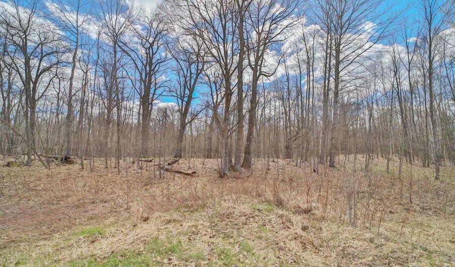 Pioneer Avenue, Aitkin, MN 56431 - 0 Beds, 0 Bath