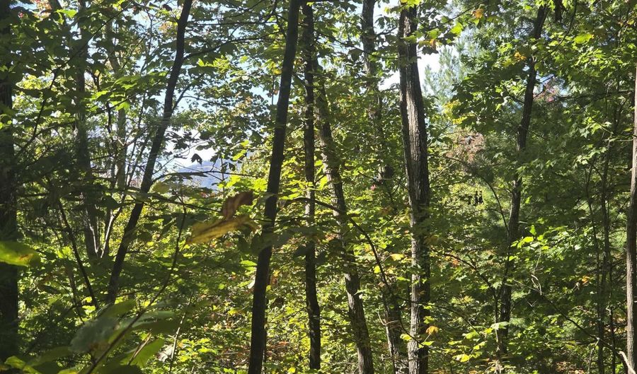 HURT HOLLOW RD, Banco, VA 22711 - 0 Beds, 0 Bath