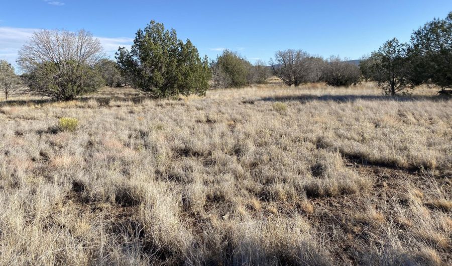 3160 W Mesa Dr, Ash Fork, AZ 86046 - 0 Beds, 0 Bath