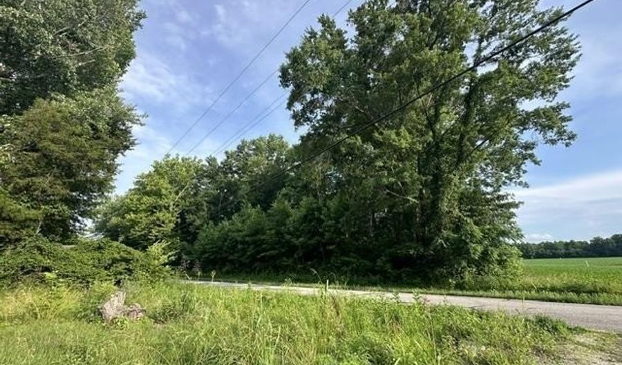 Mineral-Koleen Road, Bloomfield, IN 47424 - 0 Beds, 0 Bath