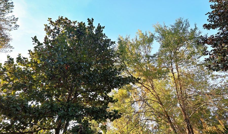 0000 Mountain View Way, Bainbridge, GA 39819 - 0 Beds, 0 Bath