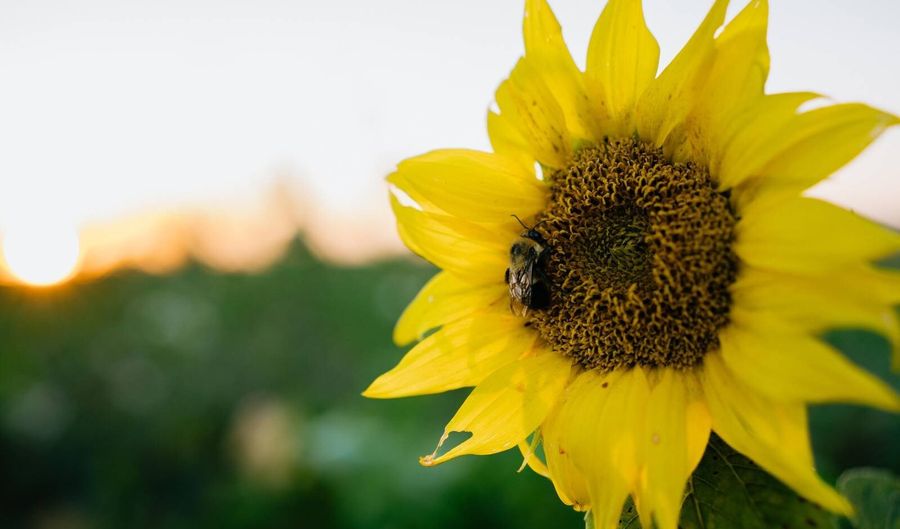 0000 450th Rd, Bassett, NE 68714 - 0 Beds, 0 Bath