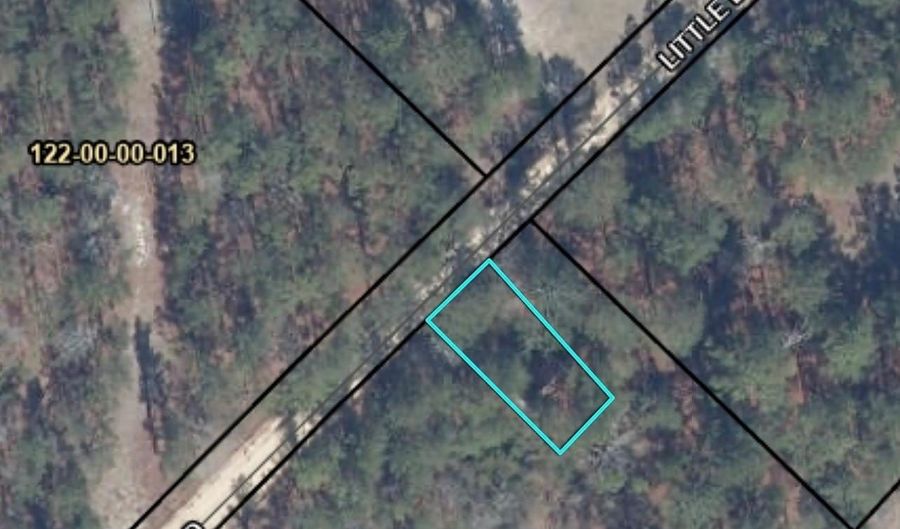 2011 Little Lynches Rd, Bethune, SC 29009 - 0 Beds, 0 Bath