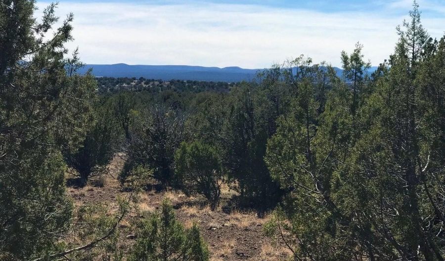 1203 County Line Cir, Ash Fork, AZ 86320 - 0 Beds, 0 Bath