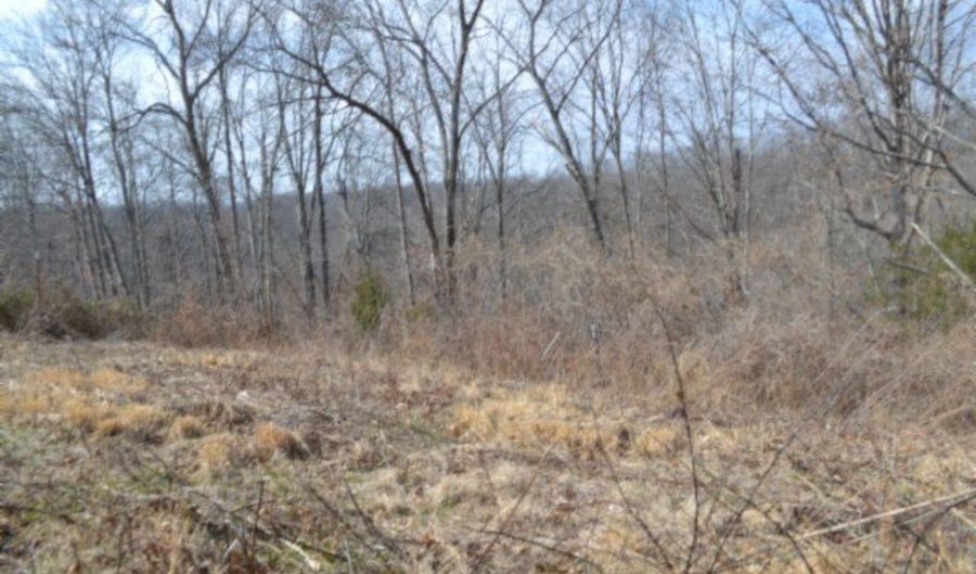 4 13ac Hush Hollow Lane Lot 31-33, Baxter, TN 38544 - 0 Beds, 0 Bath