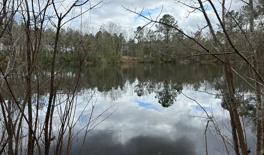 1396 American Legion Rd, Abbeville, GA 31001 - 3 Beds, 2 Bath