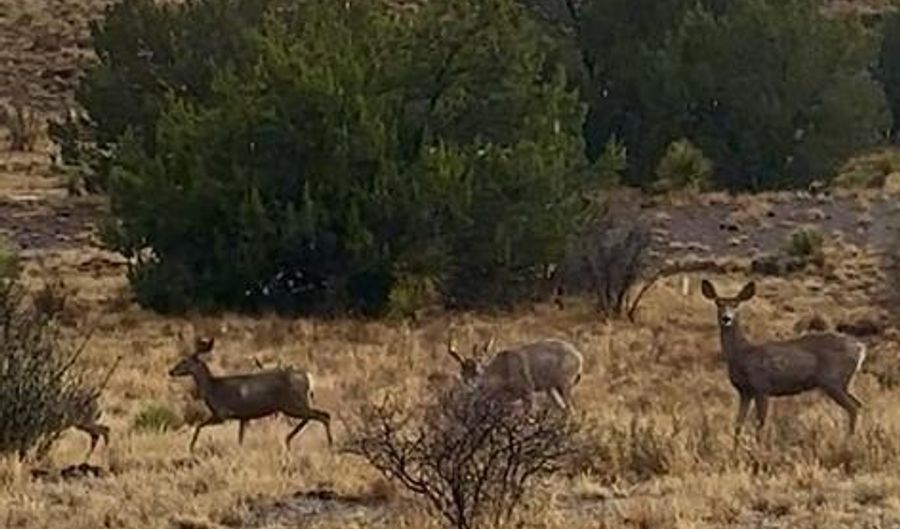 47140 Hwy 118, Alpine, TX 79830 - 0 Beds, 0 Bath