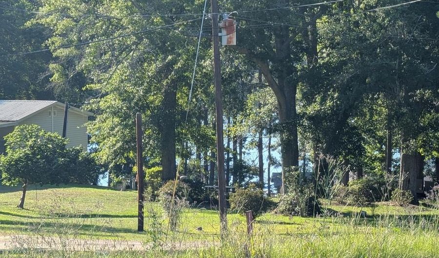 14130 State Hwy 95, Abbeville, AL 36310 - 0 Beds, 0 Bath