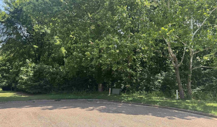 422 SCOTTSCRAIG Cv Lot 422, Bartlett, TN 38135 - 0 Beds, 0 Bath