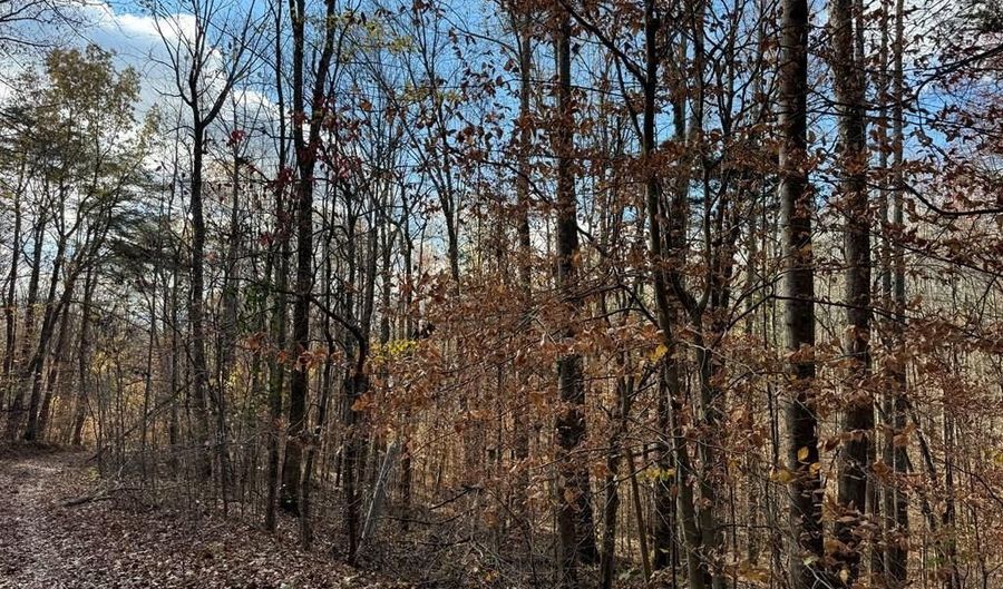 2 23 ACS Stone Clf, Albany, KY 42602 - 0 Beds, 0 Bath