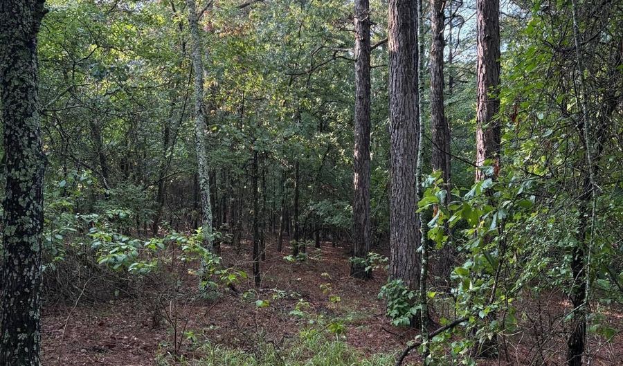 greenwood road, Antlers, OK 74523 - 3 Beds, 2 Bath