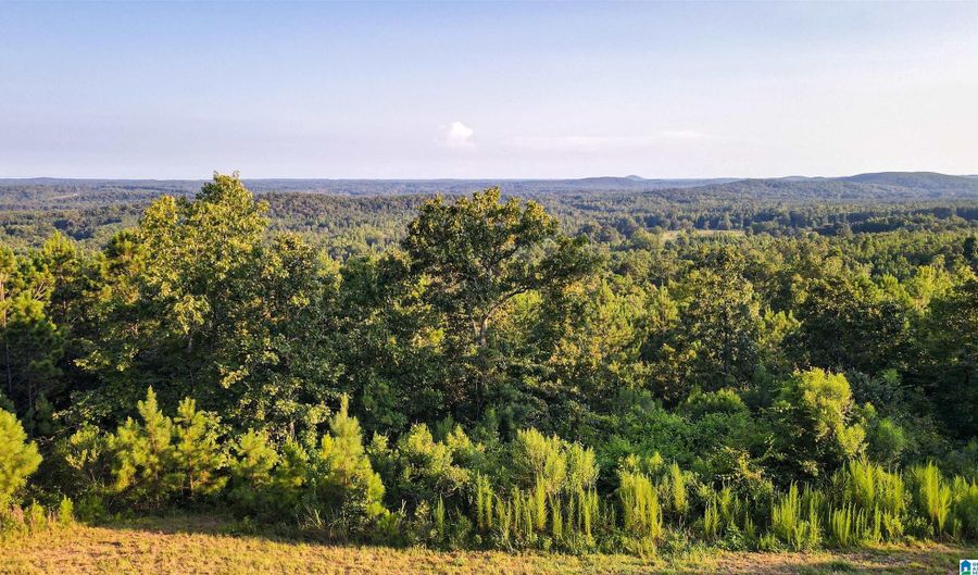 200 TABLEE LANE Lot 17.65, Ashland, AL 36251 - 0 Beds, 0 Bath