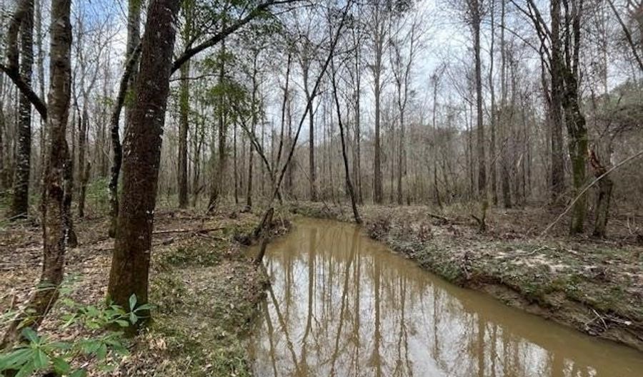 1365 Mickle Smith Trl, Bogue Chitto, MS 39629 - 0 Beds, 0 Bath