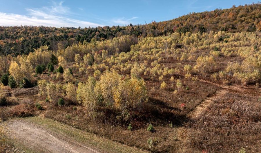 00 Birch Tree Ln Lot 3, Cambridge, VT 05464 - 0 Beds, 0 Bath