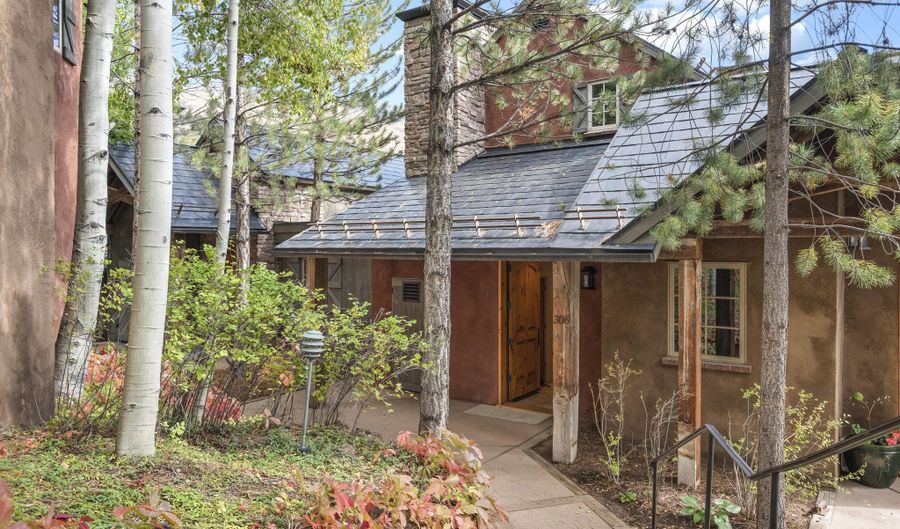 306 Wild Spring Ln, Basalt, CO 81621 - 2 Beds, null Bath