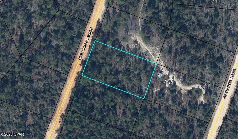 Apalachicola Avenue, Alford, FL 32420 - 0 Beds, 0 Bath