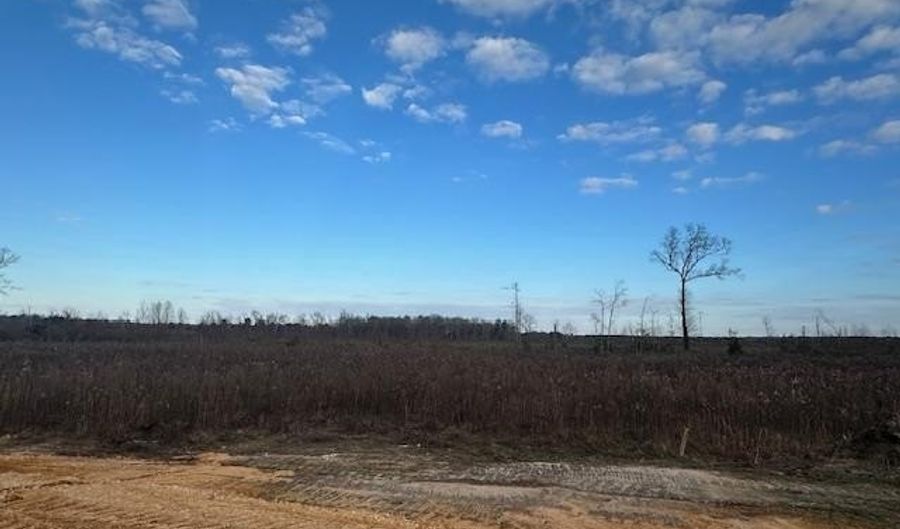 1064 Duke Dr, Bauxite, AR 72011 - 4 Beds, 2 Bath