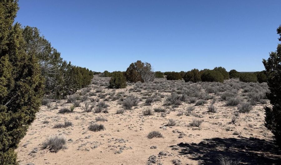 TBD 205-70-002, Chambers, AZ 86502 - 0 Beds, 0 Bath
