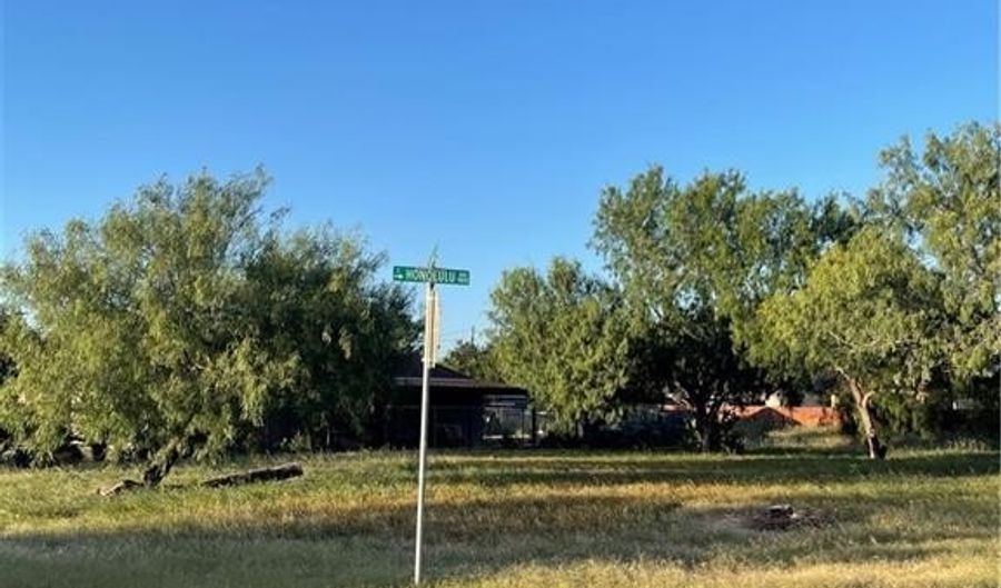 Lot 32 N Alvarado Street, Alton, TX 78573 - 0 Beds, 0 Bath