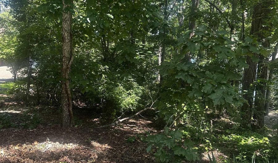 2 Otero Pl, Hot Springs Village, AR 71909 - 0 Beds, 0 Bath