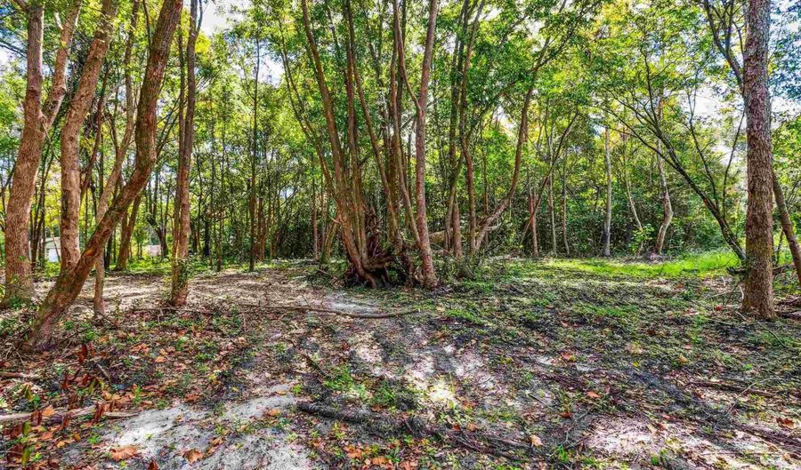 Ella St, Bagdad, FL 32583 - 0 Beds, 0 Bath