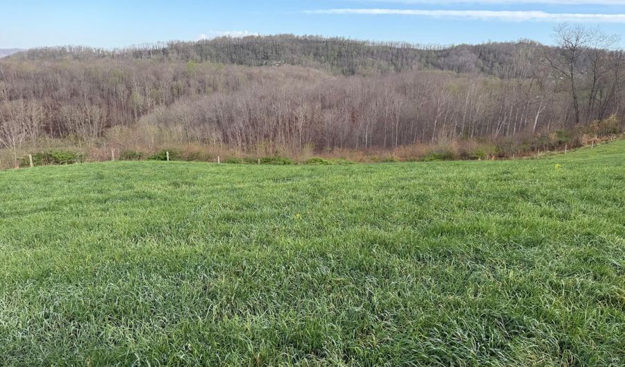 1999 Snake Run Rd, Alderson, WV 24910 - 0 Beds, 0 Bath