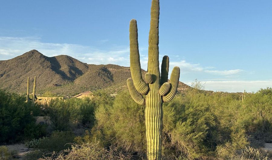 34850 N CAVE CREEK Rd, Carefree, AZ 85377 - 0 Beds, 0 Bath
