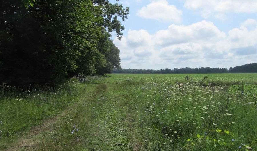 Capac Road, Armada, MI 48005 - 0 Beds, 0 Bath