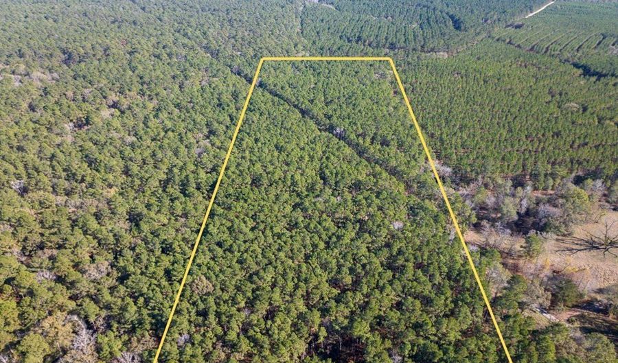 527 Forest Service Rd, Apple Springs, TX 75926 - 0 Beds, 0 Bath