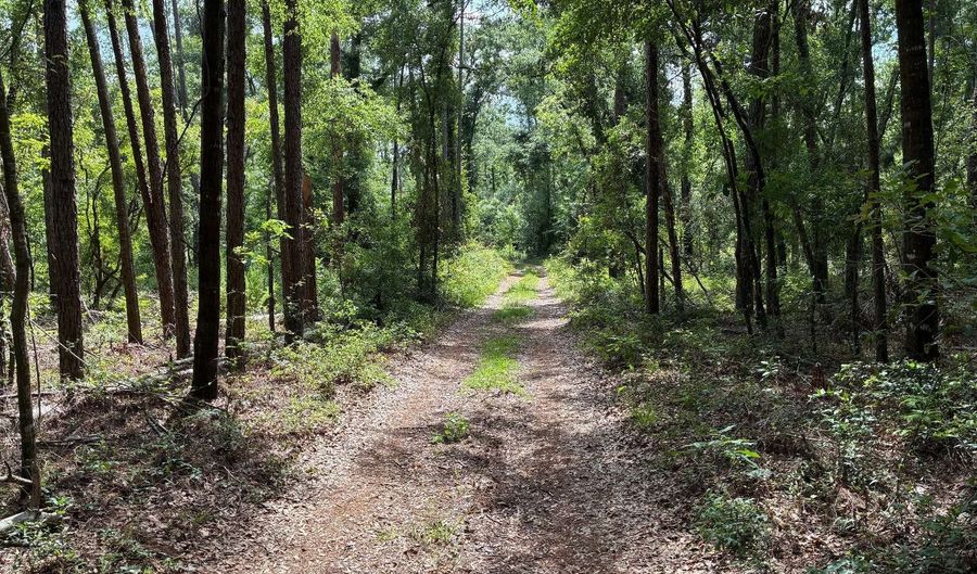 LOT66 PEACOCK HIDEAWAY, Live Oak, FL 32060 - 0 Beds, 0 Bath