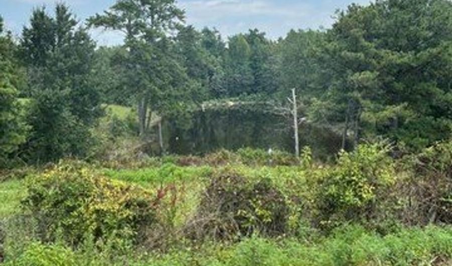 4 SOCIETY HILL Rd, Auburn, AL 36830 - 0 Beds, 0 Bath