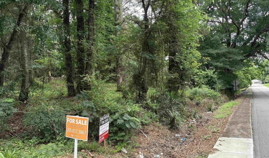 7 TH Ave Lot 1, Ashville, AL 35953 - 0 Beds, 0 Bath
