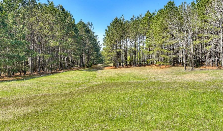6437 COBBHAM Rd, Appling, GA 30802 - 3 Beds, 3 Bath