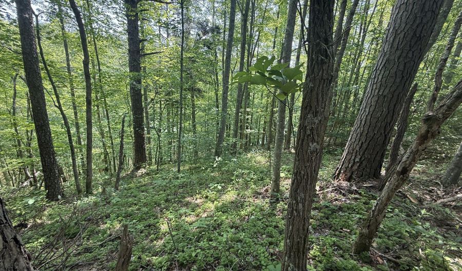 81 Happy Acres Rd, Beattyville, KY 41311 - 3 Beds, 2 Bath