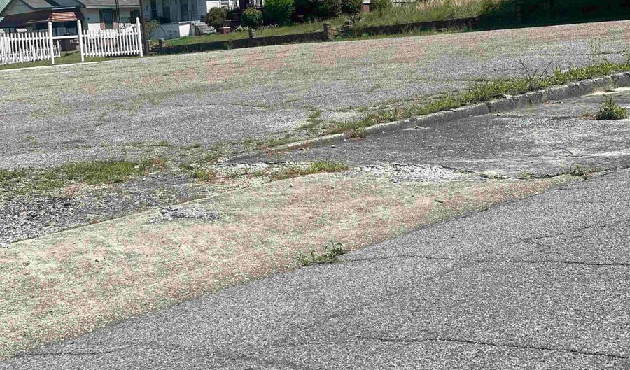 2420 NOBLE St 5 & 6, Anniston, AL 36201 - 0 Beds, 0 Bath