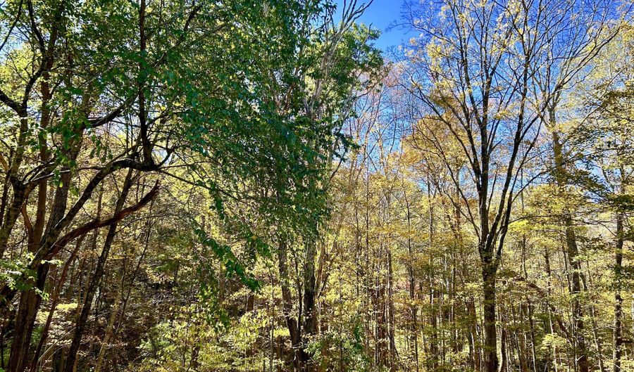 44 Route 6, Columbia, CT 06237 - 3 Beds, 1 Bath