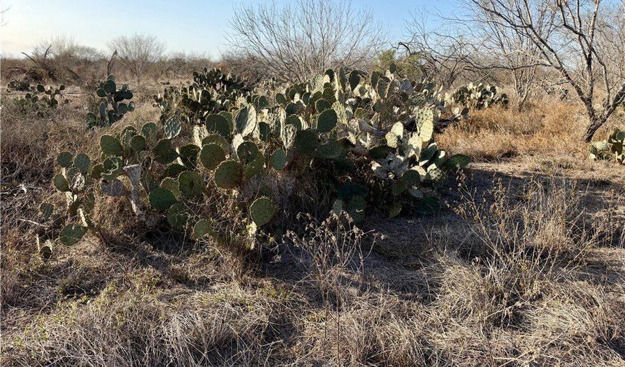 CR 119 lot 0, Alice, TX 78332 - 0 Beds, 0 Bath