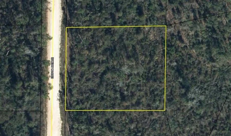 EDISON AVENUE, Alford, FL 32420 - 0 Beds, 0 Bath