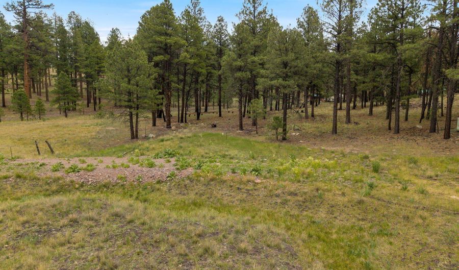 County Rd 2121, Alpine, AZ 85920 - 0 Beds, 0 Bath