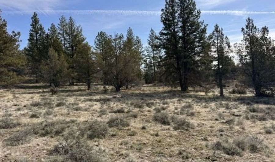 Yellow Jacket Springs RD, Beatty, OR 97621 - 0 Beds, 0 Bath