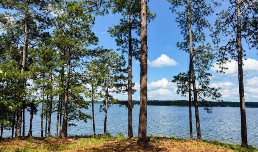 48 Heritage Pt N, Alexander City, AL 35010 - 0 Beds, 0 Bath