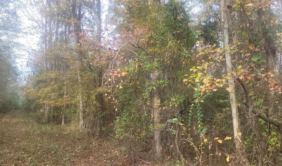 Autaugaville, Autaugaville, AL 36003 - 0 Beds, 0 Bath