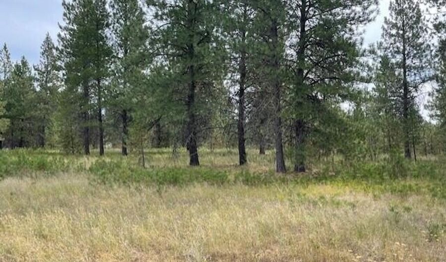 Lot 4 Sheep Springs Rd, Athol, ID 83801 - 0 Beds, 0 Bath