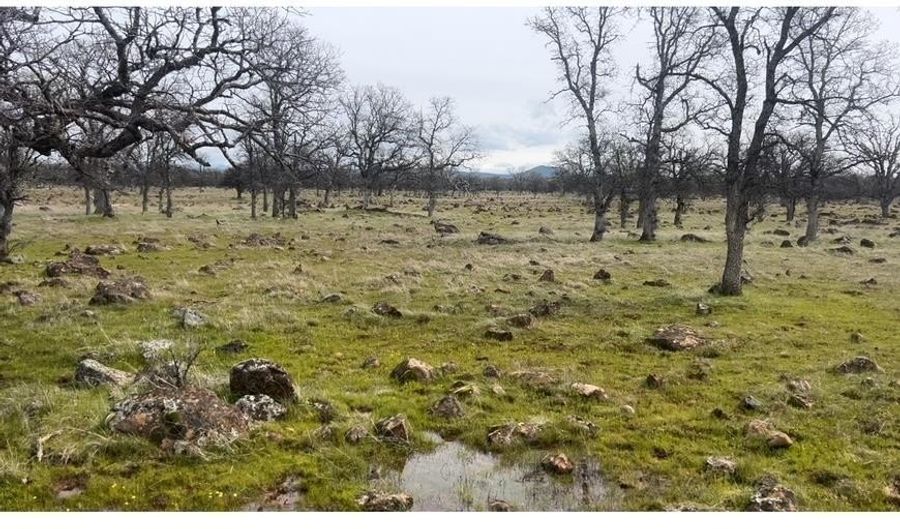 Buffalo Road, Anderson, CA 96007 - 0 Beds, 0 Bath